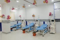 APJ_1356-copy