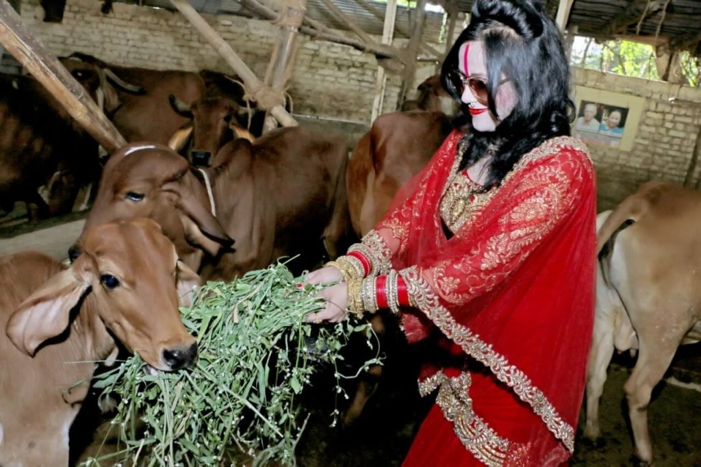 Gau Seva